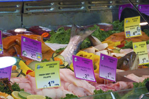fresh fish showcase